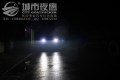 照片 336_