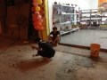 IMG_0556