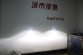 照片 325_