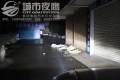 照片 335_