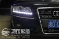 照片 262_