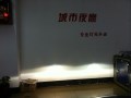 大眾 邁騰隨動版大燈