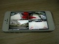 DSCN5247