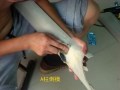 SL370225_副本