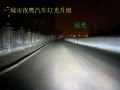 照片 005_副本
