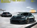panamera 970 manosry款香港保馳 (7)