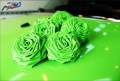 Mini Cooper小清新糖果綠