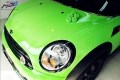 Mini Cooper小清新糖果綠