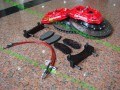 AP紅色大四1