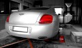 techtec-bentley-hinten43