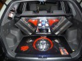 DLS_1 (348)