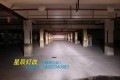 conew_conew_img_3494