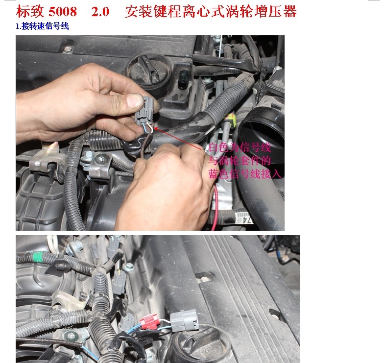 北京車衣裳大眾速騰馬卡龍紫丁香汽車改色貼膜