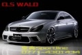 BENZ CLS W219 WALD