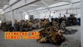 IMG_20140615_105346_conew1