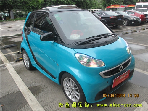smart 全車改色珠光系列