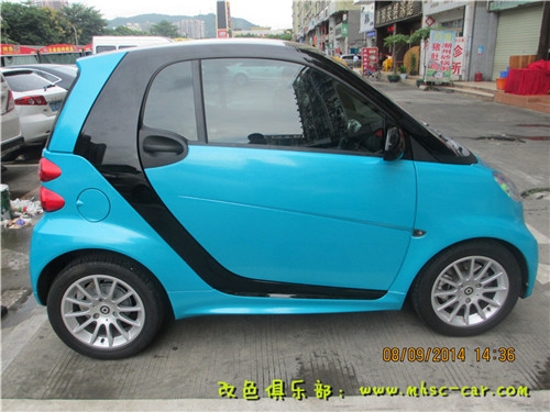 smart 全車改色珠光系列