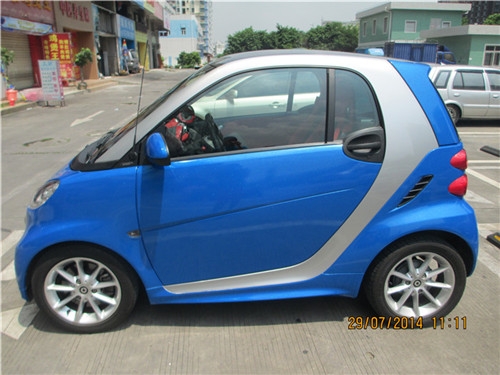 smart 全車改色珠光系列