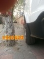 2_conew2
