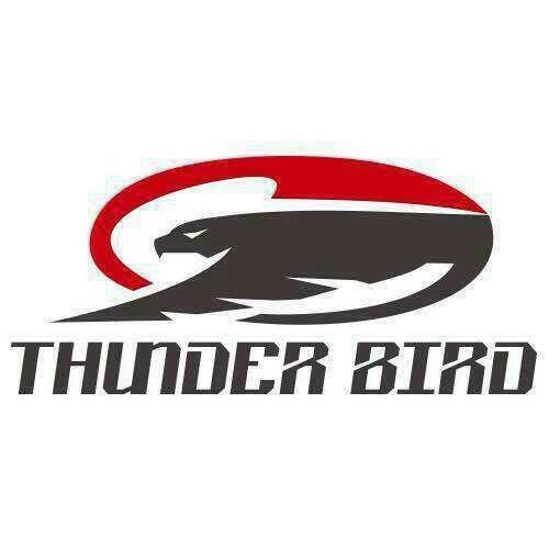 澳洲Thunder bird雷鳥排氣管/寶馬520I-523I-525I/F10 F18中尾四出排氣管