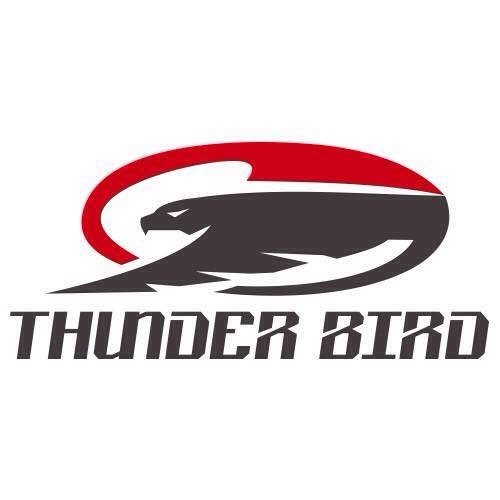 澳洲Thunder bird 雷鳥排氣管/保時捷卡宴958左右四出排氣管-消聲器