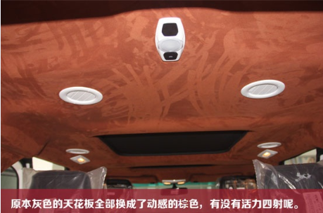 探險者深沉棕色款