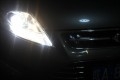 conew_img_2353