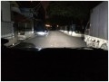 conew_照片 010