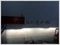 conew_conew_照片 108