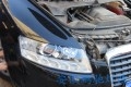 conew_img_1699