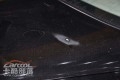 nEO_IMG_DSC_4498