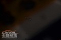 nEO_IMG_DSC_4464