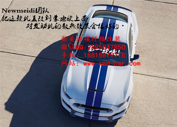 13款14款新款蒙迪歐改裝大小包圍碳纖維機蓋排氣管前后唇野馬GT