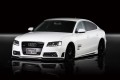 Audi A5carbon_rip_tilt_front1_800