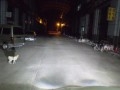 psb (12)