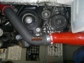 psbCA9SIM4B