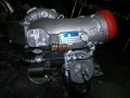 psbCAX1CFTI