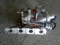 psbCARTBX9B