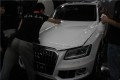 奧迪Q5全車(chē)透明膜 (7)