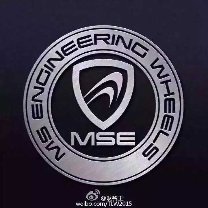美女的選擇：美國 MSE 。