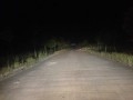 路照遠(yuǎn)