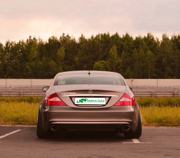 Gecko避震器 奔馳 CLS350 W219