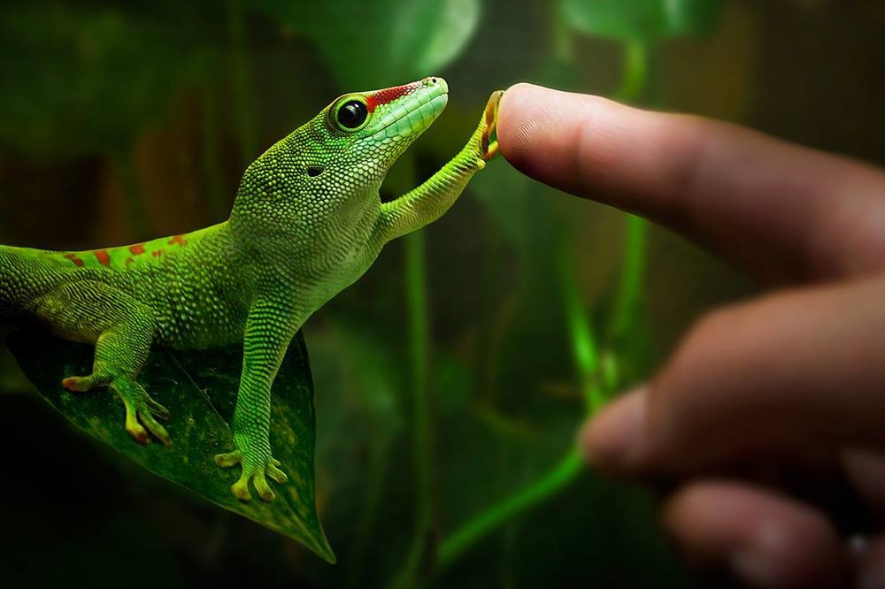 Gecko避震器給消費(fèi)者的一封信