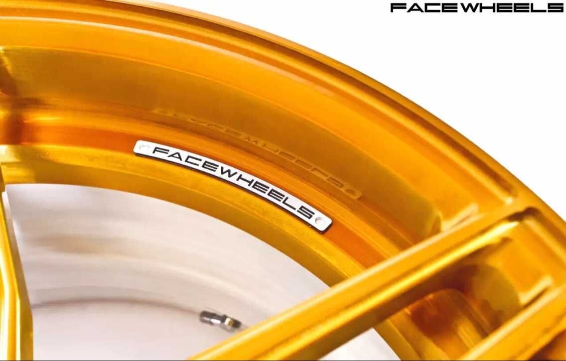 facewheels fwd201 2PC 兩片式鍛造