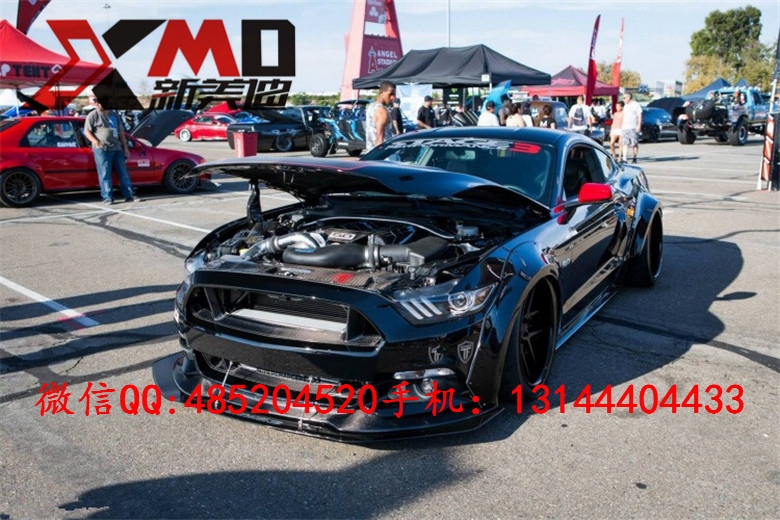 15款 新款 福特野馬Mustang 碳纖維中網(wǎng) 改裝無標中網(wǎng) 包圍 機蓋