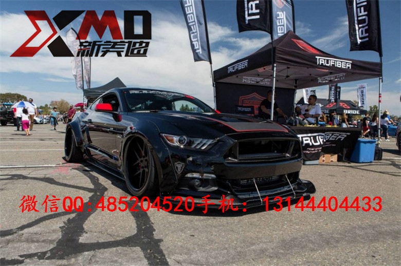 15款 新款 福特野馬Mustang 碳纖維中網(wǎng) 改裝無標中網(wǎng) 包圍 機蓋
