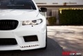 blog_02192014_f10_m5_hamann_pur_14-550x367_副本