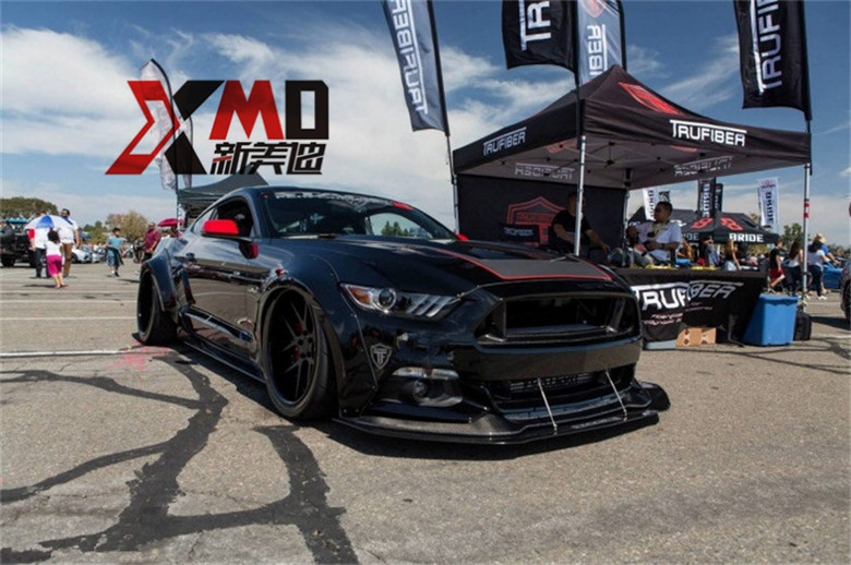 15款 新款 福特野馬Mustang 碳纖維GT 中網(wǎng) 改裝無標(biāo) 包圍 機(jī)蓋