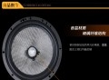 FOCAL-165AS_07a