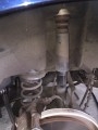 S__100384775